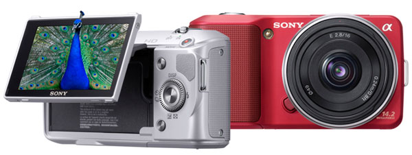 Ejhle člověk 38: zrcadlovka nebo kompakt?