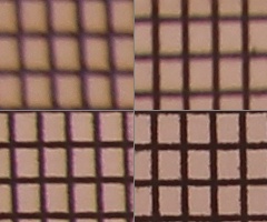 Canon EOS 550D: třídní premiant