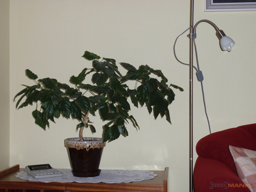 Olympus mju 9000: 10× ultrazoom v kompaktním balení