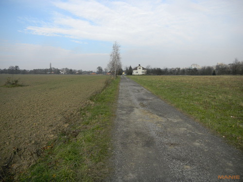 Nikon Coolpix S1100pj: kino v kompaktu