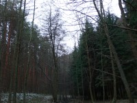 Panasonic Lumix DMC-LX1: 16:9 čip v premiéře