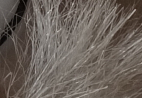 Sony SLT-A58: silný základ