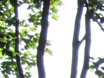 Canon IXUS 300 HS: superstylovka i pro náročné