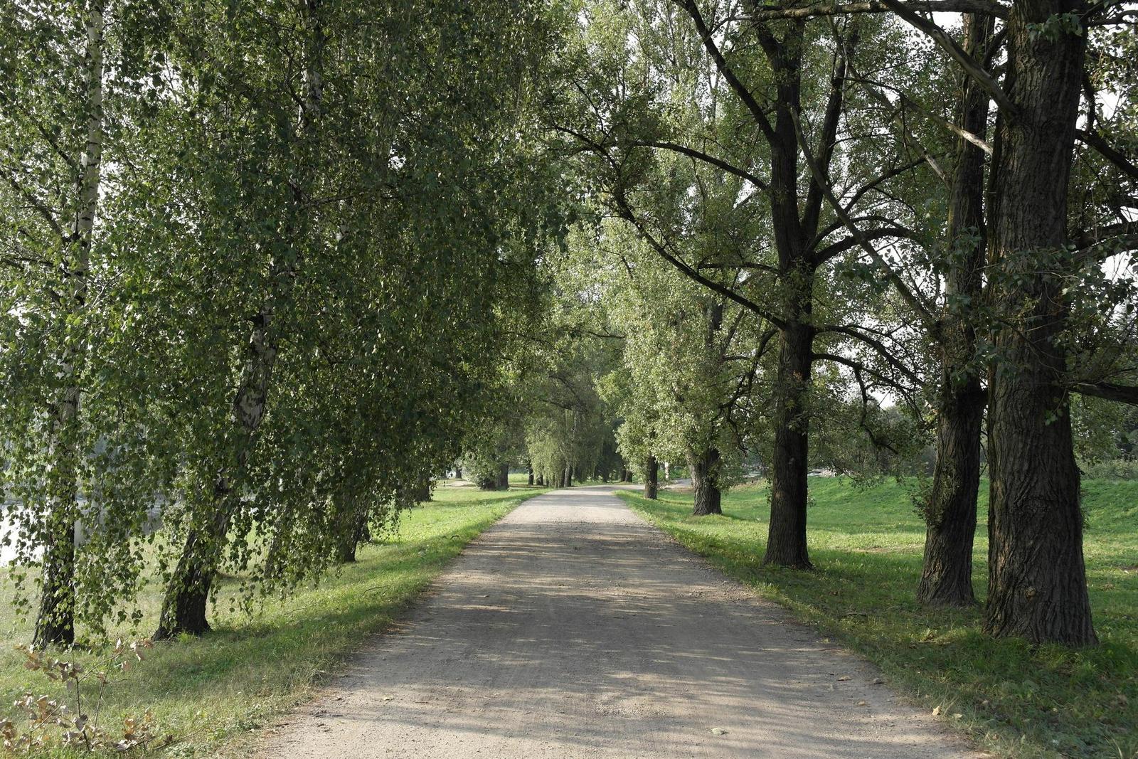 Samsung NX20: za více peněz více muziky