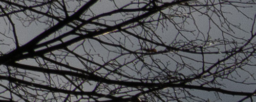 Panasonic Leica DG Vario-Summilux 25-50mm F1.7 ASPH.