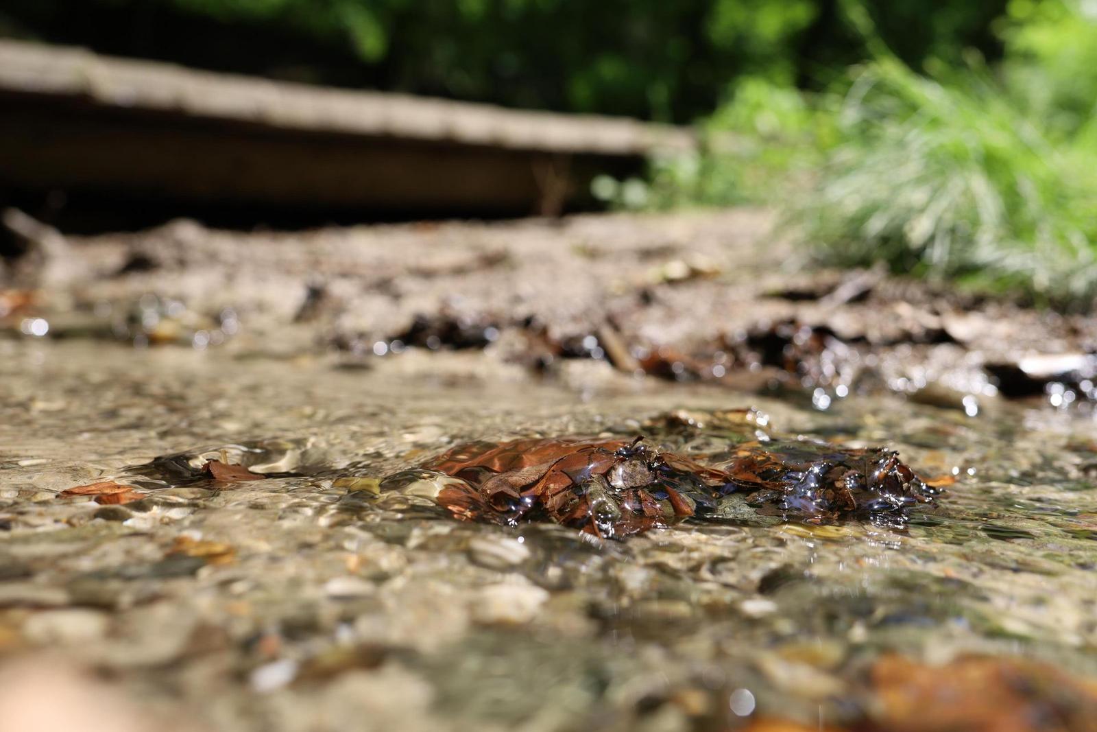 Canon EF 35mm f/2 IS USM