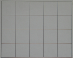 Nikon Coolpix L100: lovec hmyzu