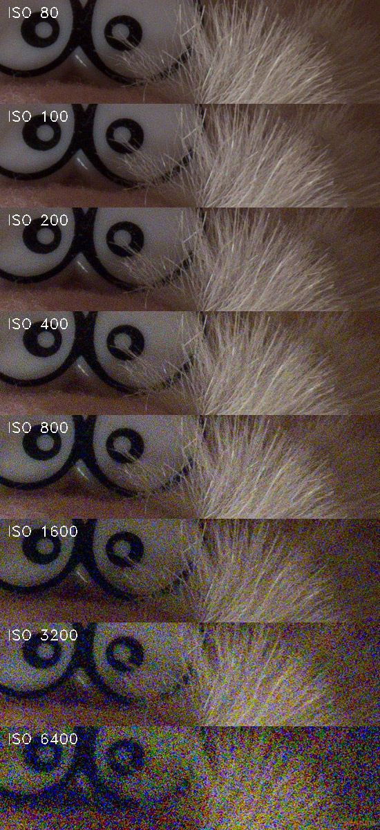 Canon PowerShot SX50 HS: překvapivá kombinace