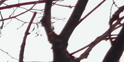 Samsung EX2F: významný krok vpřed