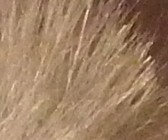 Fujifilm FinePix HS10: ultrazoom roku?