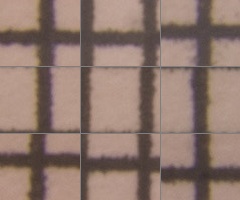 Canon EF-S 18-55mm F3,5-5,6 IS II