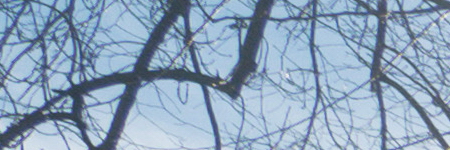 Panasonic Lumix G Vario 12-32mm f/3.5-5.6 ASPH. / MEGA O.I.S.