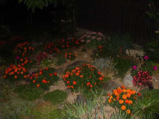 Sony Cyber-shot DSC-P200: Půlkruhová sedmička