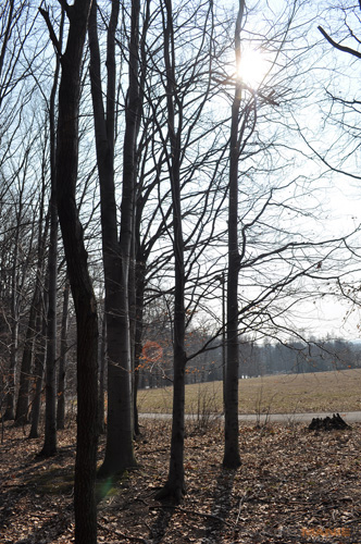 Postačí setový objektiv? Nikon vs. Sigma a Tamron