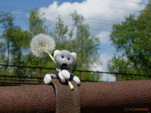 Fotíme s Koalou: Korekce expozice