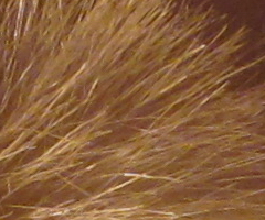 Canon IXUS 300 HS: superstylovka i pro náročné