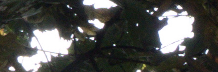 Panasonic Lumix FZ300: opět na špici