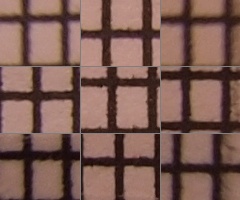 Olympus M.Zuiko Digital 14-150 mm F4-5,6