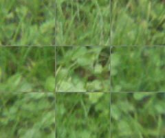 Panasonic Lumix G Vario 100-300mm F4-5,6