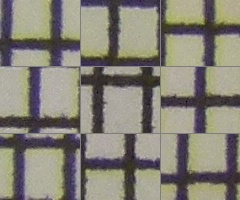 Panasonic Lumix FZ45 a FZ100: na vrcholu