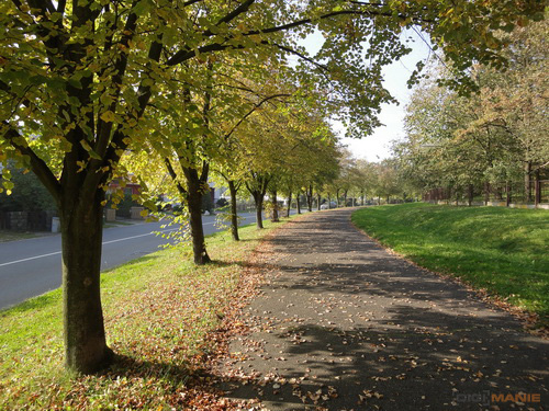 Sony Cyber-shot WX5: kompaktní klenot