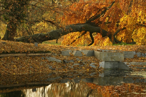 Zrcadlovka a já: Absolutní podzim