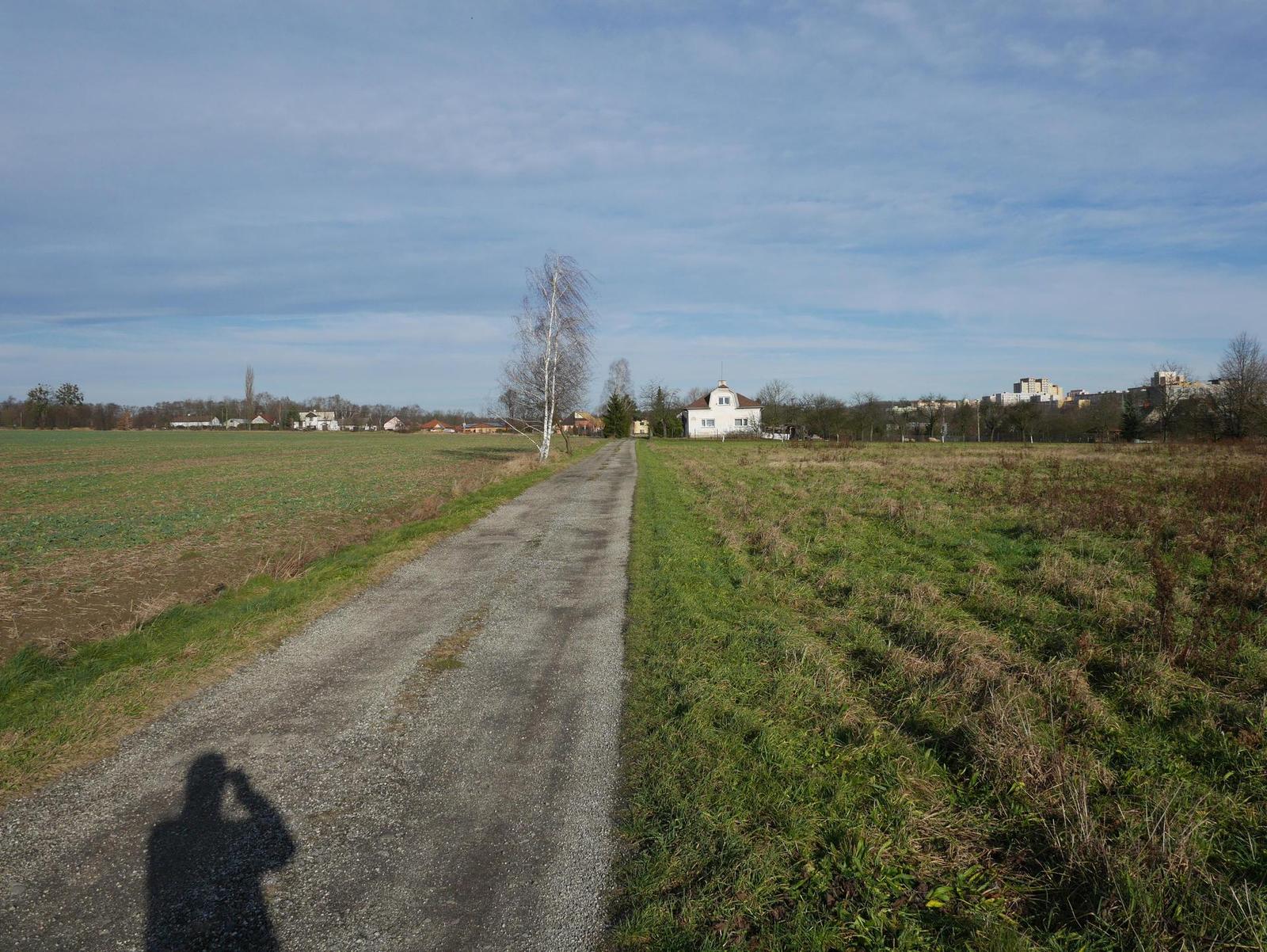 Panasonic Lumix G 14mm f/2.5 II ASPH.