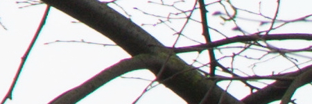 Canon PowerShot G1 X Mark II: významné zlepšení