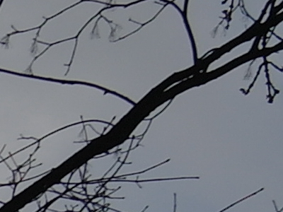 Samsung NX100: "zrcadlovka" do kapsy