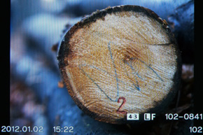 Olympus PEN E-P3: král všech PENů