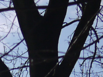 Panasonic Lumix GF1 s pancake objektivem