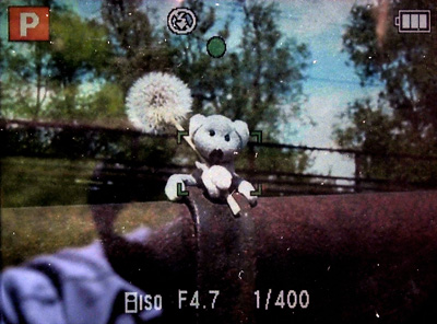 Fotíme s Koalou: Korekce expozice