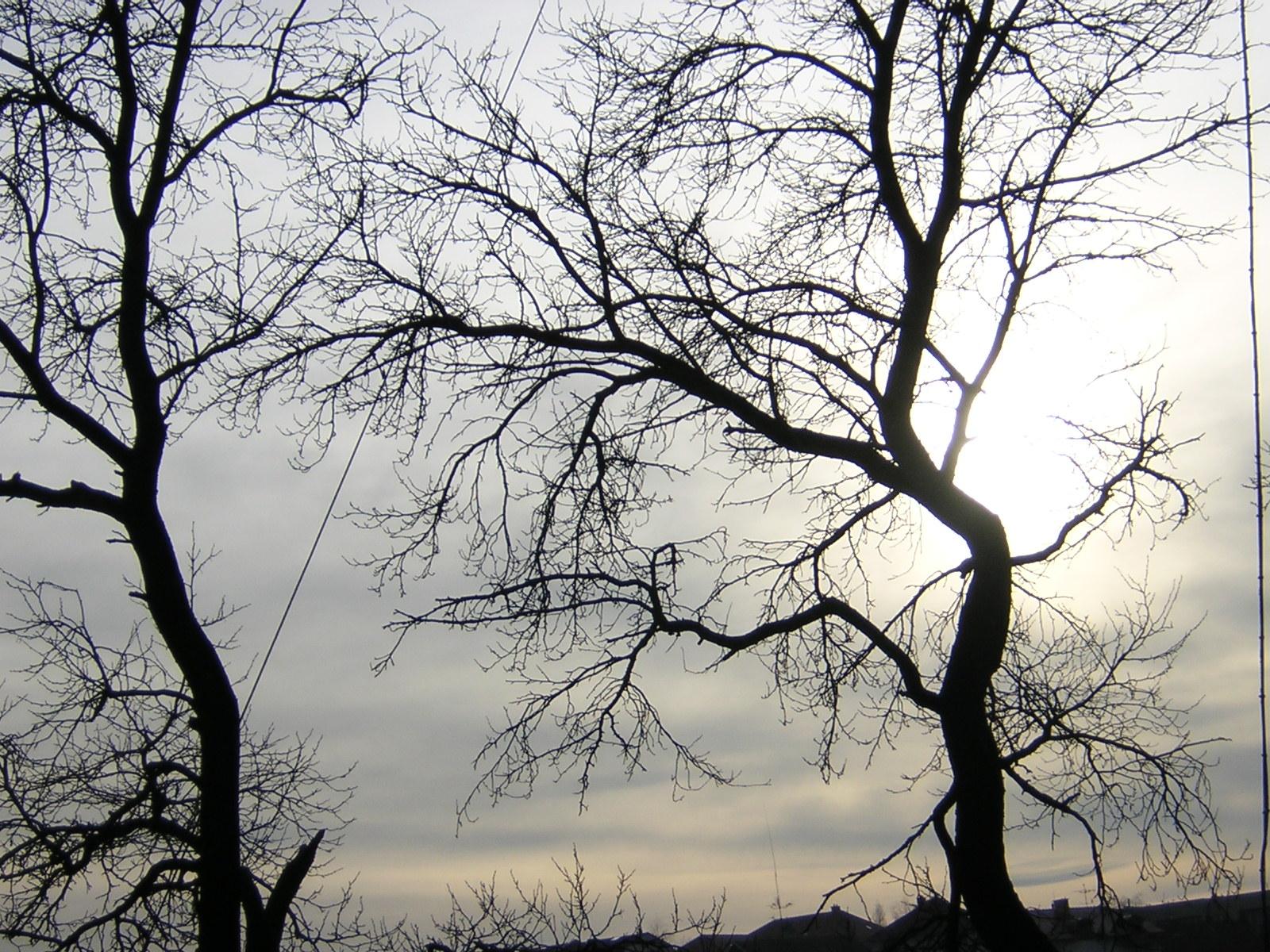 Coolpix 2100: Dvoumegový kompakt s dobrými výsledky