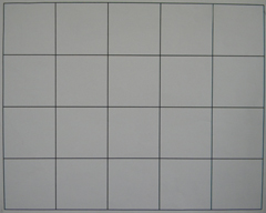 Nikon Coolpix L100: lovec hmyzu