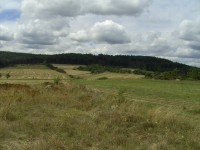 Acer CP-8660: zajímavý rebrand