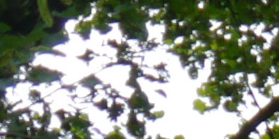 Panasonic Lumix G Vario 14-42mm F3,5-5,6 APSH.