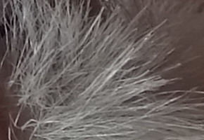 Sony Cyber-shot WX220: ostře nabitý drobek