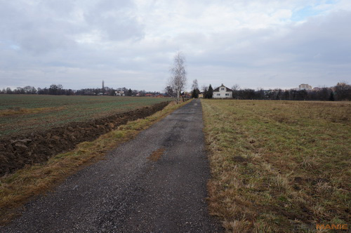 Sony NEX-5N: téměř ideální NEX