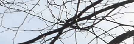 Panasonic Lumix G Vario 35-100mm F4-5.6 MEGA O.I.S.