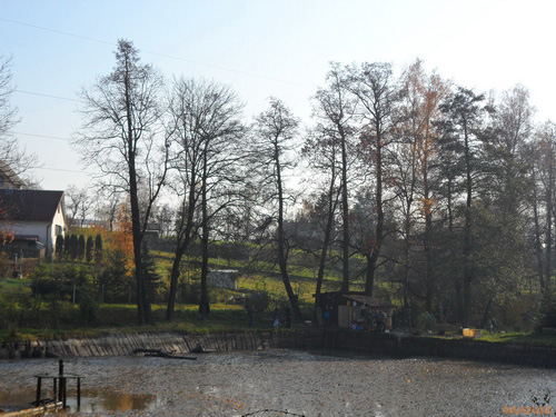 Samsung MV800: pro každý úhel i autoportréty