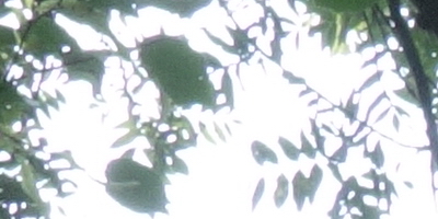 Sony Cyber-shot RX100: terminátor zrcadlovek