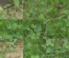 Panasonic Lumix G Vario 100-300mm F4-5,6