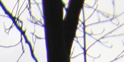 Canon EF 35mm f/1.4L USM