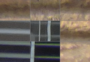 Nikon Coolpix B700: přírodovědec