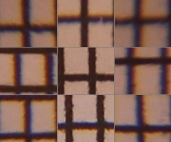 Canon EOS 550D: třídní premiant