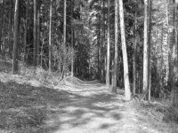 Canon PowerShot A520: Tak trochu jiné Áčko s plným manuálem