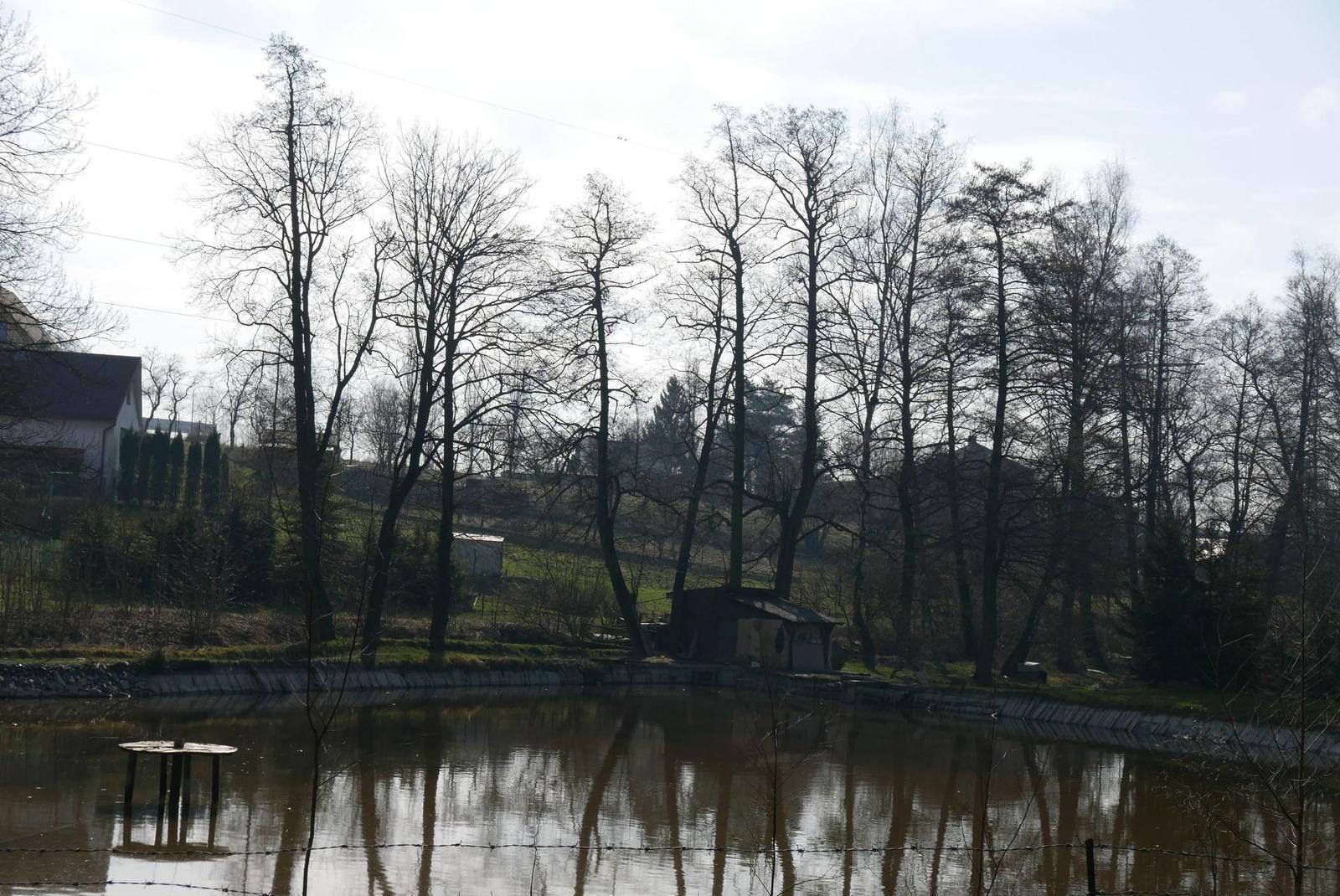 Panasonic Lumix LX100: pozoruhodný profi kompakt