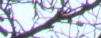 Megatest ultrazoomových objektivů