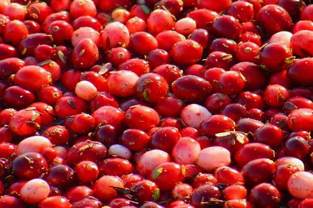 Světlo aneb nástroj každého fotografa - 3. díl