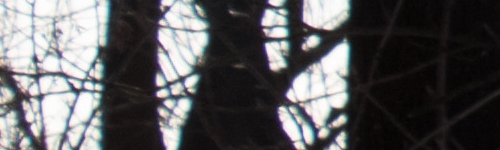 Canon EF-S 18-135mm f/3.5-5.6 IS Nano USM